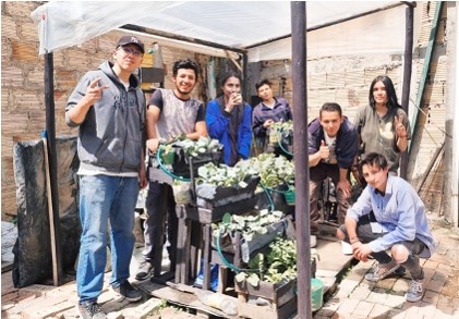 Proyecto: Inseguridad Alimentaria por falta de variedad de alimentos agrícolas. Huertas Urbanas