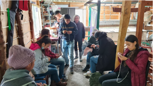 Proyecto: Pérdida de prácticas y saberes tradicionales en la cadena de producción de la lana de oveja