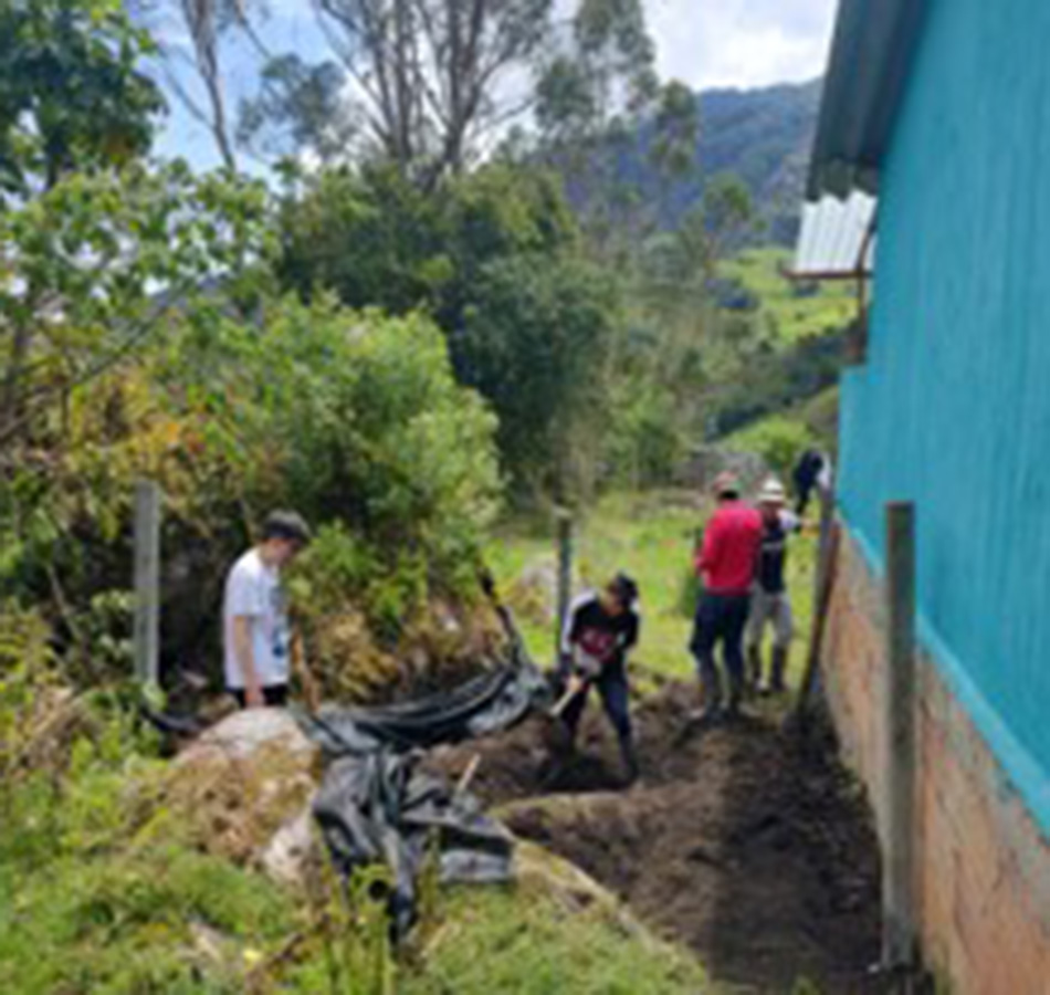 Proyecto: Plan de manejo y control de caracoles