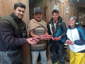 Proyecto: Plan de propagación y conservación de tubérculos andinos