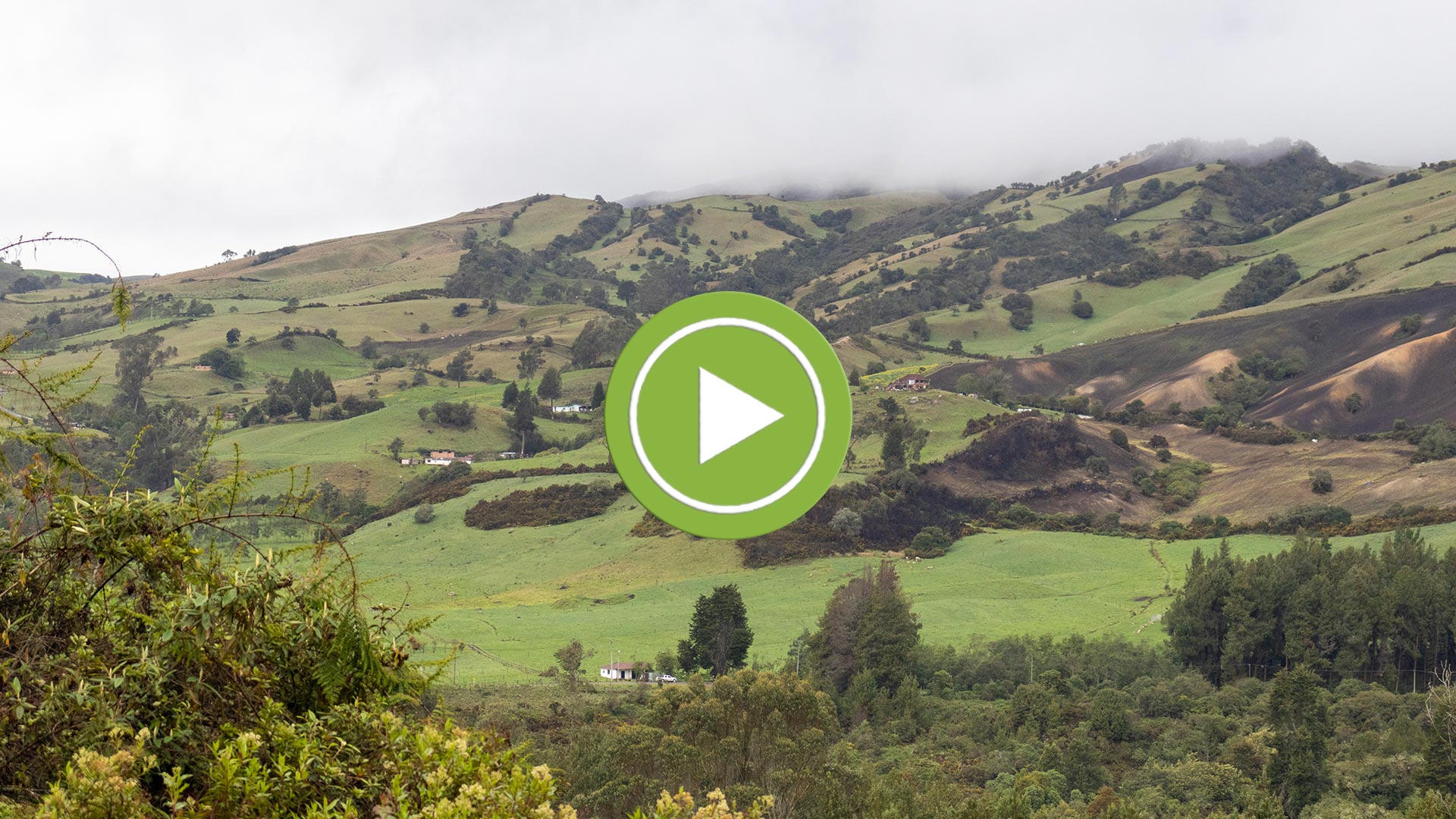 peama-sumapaz-video2.jpg