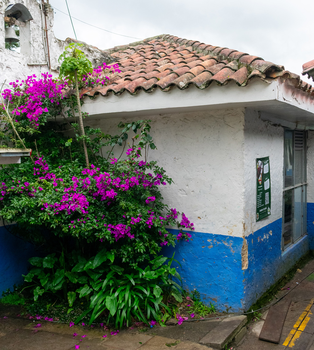 NODO TORCA USAQUÉN
