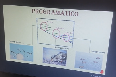 programático.png