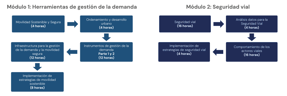 lineas_tematicas_giz_mesa-de-trabajo-1.png