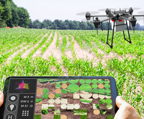 Agricultura digital - Energía, control y automatización en Biosistemas