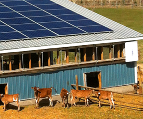 Bioclimática y ambientes controlados para la producción animal